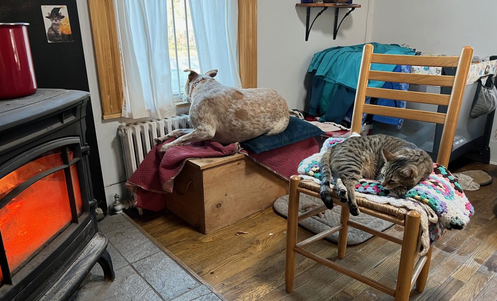 A cozy indoor scene featuring a dog looking out the window from a wooden box and a cat napping on a chair, with a stove emitting warmth in the foreground.