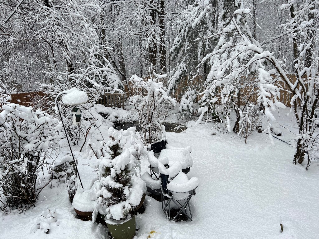 A snowy backyard scene with trees and bushes covered in a thick layer of snow, featuring snow-laden garden furniture and a bird feeder.