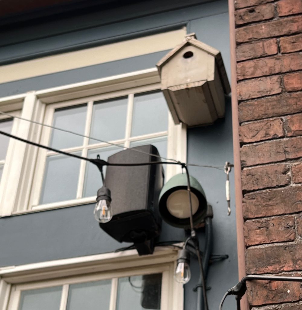 A close-up view of a building wall featuring a birdhouse, a speaker, and an outdoor light fixture, with decorative hanging bulbs and electrical wiring.