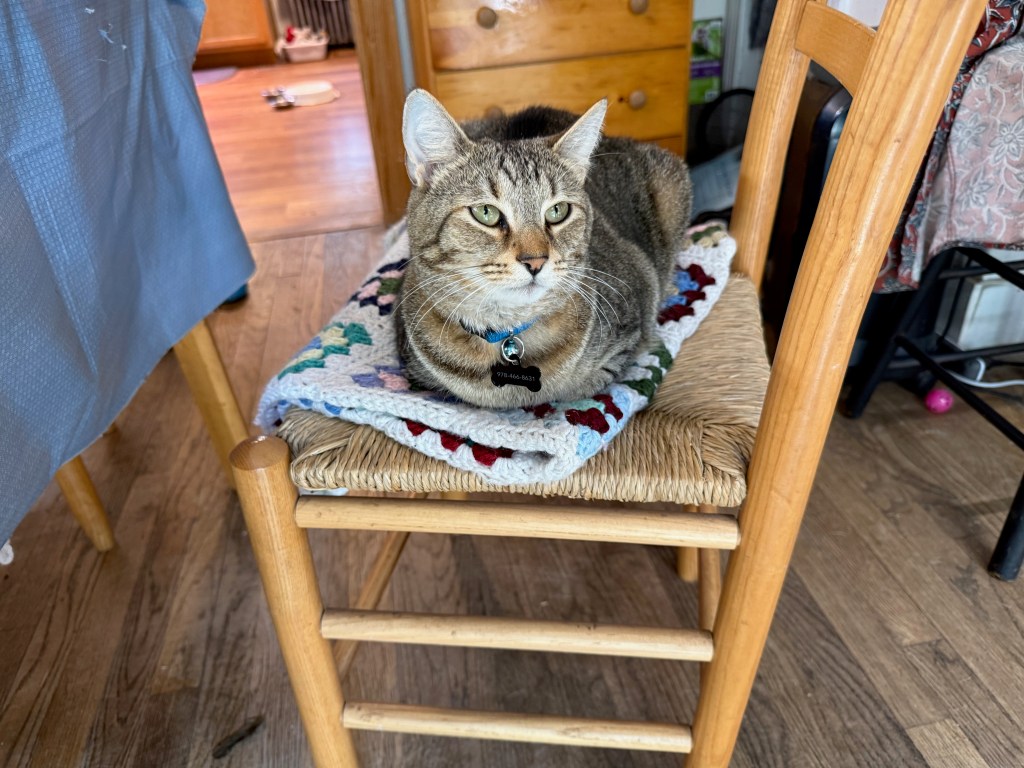 A striped cat resting on a colorful knitted blanket placed on a wooden chair in a cozy indoor setting.