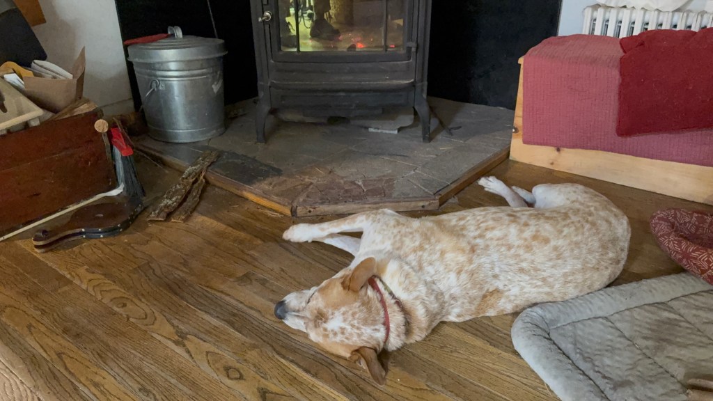 A dog lying on the wooden floor near a stove in a cozy room, with items like a metal bucket and a wooden box in the background.