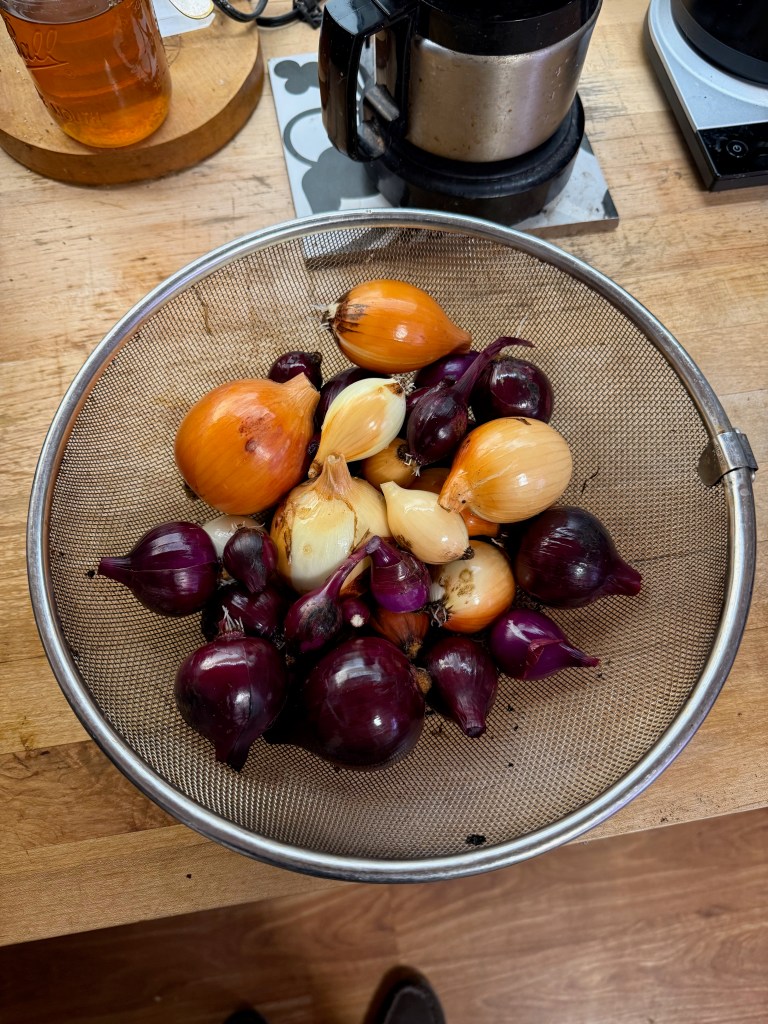 A variety of onions, including red, yellow, and white, arranged in a mesh colander on a wooden countertop.
