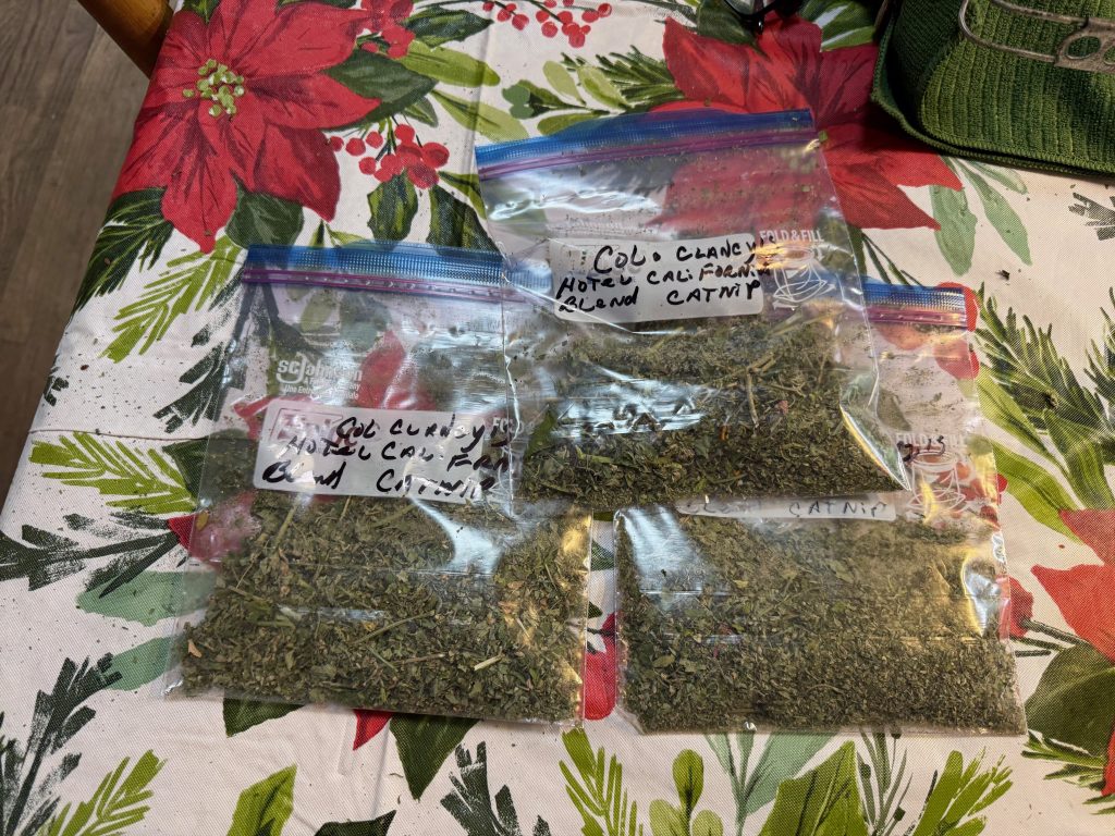 Four bags of dried herbs labeled 'Cali Clancy', 'Hot C Cat', 'Cali Blend', and 'Catnip' placed on a festive tablecloth with a floral pattern.