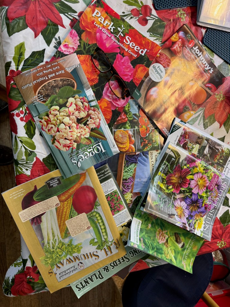 A collection of seed catalogs, including 'Park Seed' and 'Johnny's Selected Seeds,' spread out on a floral tablecloth with a pair of glasses nearby.