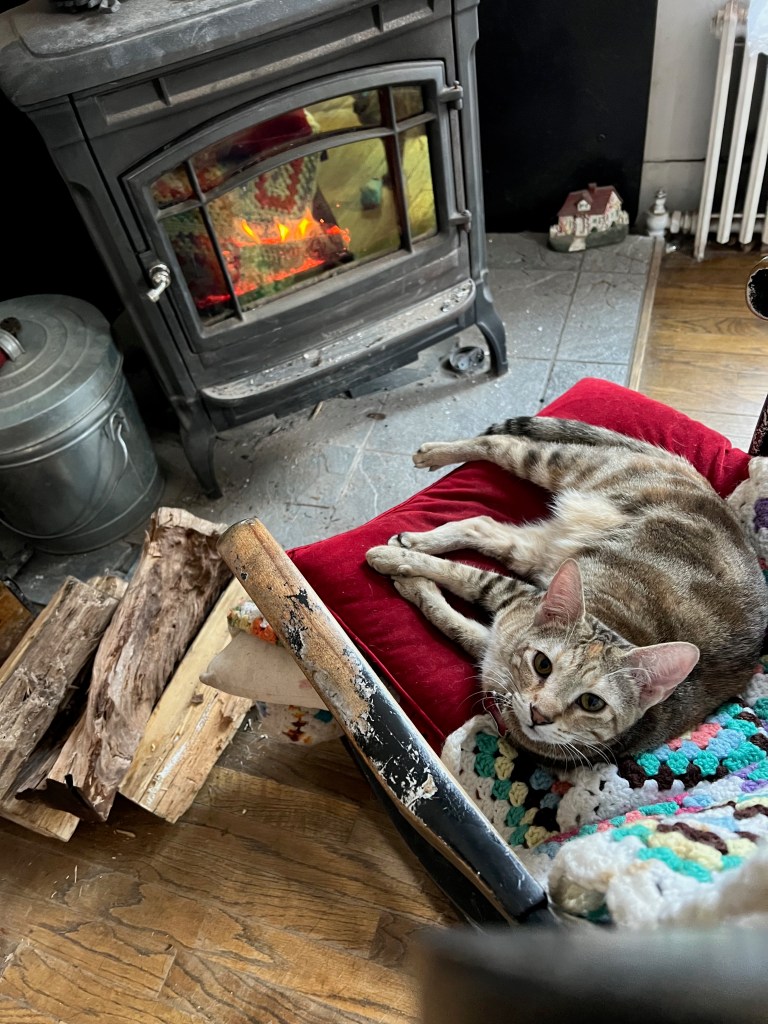 A cozy indoor scene featuring a cat lounging on a red cushion in front of a wood stove, with stacked firewood nearby and a colorful blanket in the background.