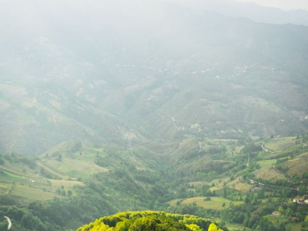 scenic green valleys in erbaa turkiye