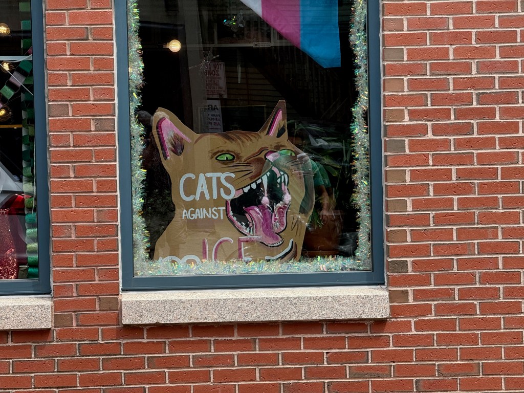 A window display featuring a large painted cat with an open mouth, alongside the text 'CATS AGAINST ICE' decorated with colorful tinsel.